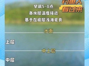 天下HD钓鱼攻略大全：鱼群分布详解及最佳垂钓策略分享