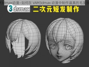 VAM3dmax动漫—如何在 VAM3dmax 动漫中制作逼真的毛发效果？