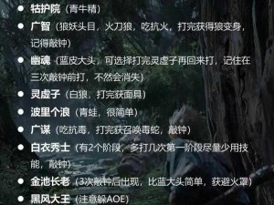 《众妖之怒：灵猴职业角色攻略全解析》