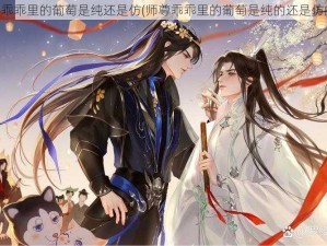 师尊乖乖里的葡萄是纯还是仿(师尊乖乖里的葡萄是纯的还是仿的？)