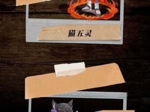 猫灵相册之猫玉奥秘：揭开猫玉的多元用途，探寻真实意义