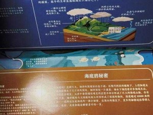 海潮之池中心的新探索：海洋生态与人类文明的交汇点