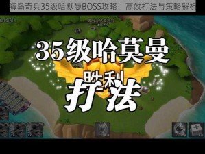 海岛奇兵35级哈默曼BOSS攻略：高效打法与策略解析