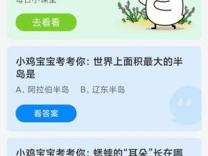 考考你：知识丰富的小鸡宝宝等你挑战