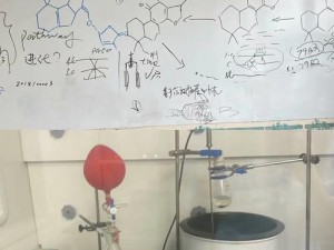 生命药合成所需材料探究：从基础原料到高级成分的化学之旅