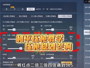 和平精英精准部署ADS战术策略指南：实战解析与优化建议