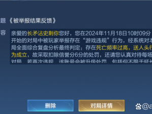 举报风波中：如何应对因购买'金币英雄'而在排位赛中易遭禁赛的风险？