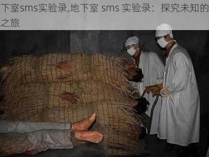 地下室sms实验录,地下室 sms 实验录：探究未知的黑暗之旅