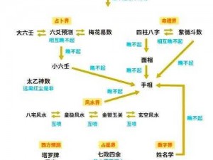 术士1至80级技能详解：从入门到精通的全面指南