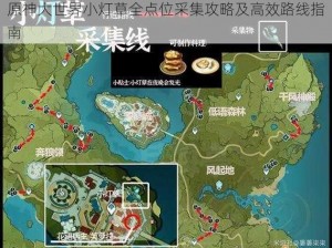 原神大世界小灯草全点位采集攻略及高效路线指南