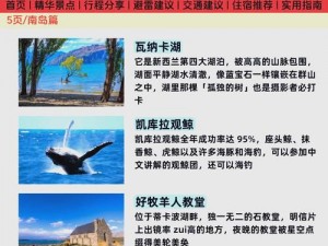 暖暖环游世界新西兰S级搭配揭秘与省钱攻略：探秘新西兰美景美食最佳组合