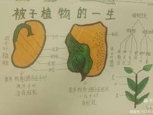 秘境之争：绿色生物卡——卡拉诺图鉴的生长奥秘探索