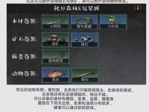 明日之后秘密起点打法攻略全解析：生存战斗指南与战略技巧揭秘