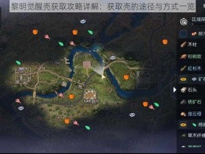 黎明觉醒壳获取攻略详解：获取壳的途径与方式一览