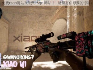 免费csgo网站2(免费 csgo 网站 2，这里有你想要的惊喜)