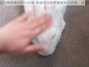 男朋友说我想摸你的小白兔-男朋友说他想摸我的小白兔，这正常吗？