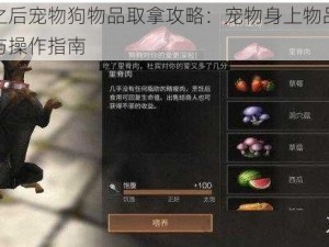 明日之后宠物狗物品取拿攻略：宠物身上物品取走方法与操作指南