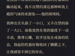 德萨罗与阿加雷斯的交锋：阿加雷斯策略下的德萨罗行动影响及结果解析