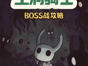 空洞骑士水晶宫殿二楼BOSS战攻略：实战技巧与打法指南