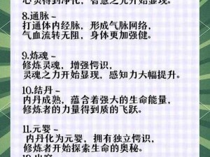 掌门修仙记：修炼速度飙升指南攻略或掌门修仙记修炼飞跃进步攻略：提升修炼速度秘籍大揭秘