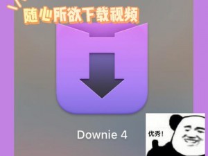 成人抖抈 Proapp 视频，一款满足你所有需求的视频播放神器