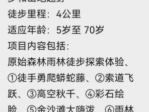 森林快速传送到队友身边的攻略秘籍分享：探索高效传送路径与技巧