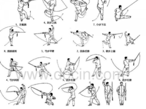 初级剑术第二段分解教学详解：动作要领与技巧指南