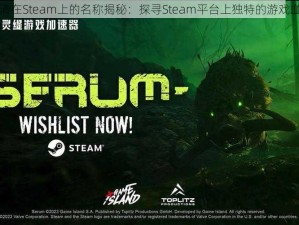 游戏血清在Steam上的名称揭秘：探寻Steam平台上独特的游戏血清介绍