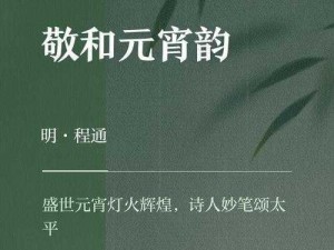 元宵盛宴背后隐藏的精准补给解析：本周的资产投入策略分析 —— 深度探究精准氪与不氪的价值取舍之道