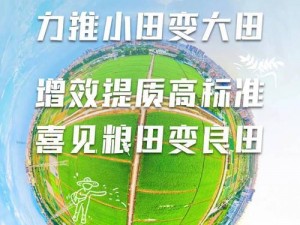 大地资源8免费版使用方法、如何使用大地资源 8 免费版？