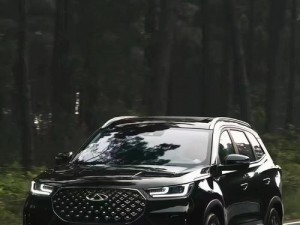 欧洲版国产SUV【欧洲版国产 SUV，高品质之选】