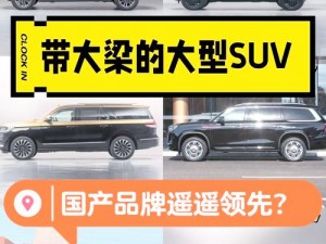 探寻尺码最大的国产SUV-探寻最大号国产 SUV，尺寸是否真的越大越好？