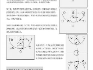 美职篮梦之队3球队战术系统深度解析：实战玩法技巧详解攻略指南