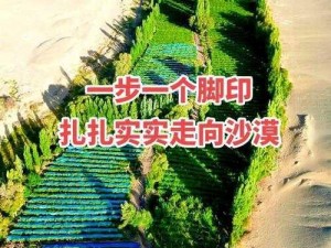 沙漠绿洲的繁荣：农场88阅读网的生存之道