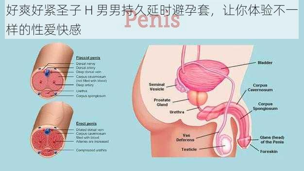 好爽好紧圣子 H 男男持久延时避孕套，让你体验不一样的性爱快感