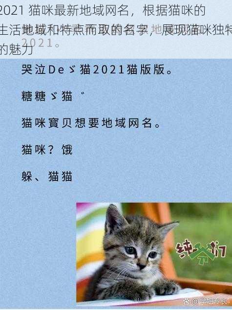 2021 猫咪最新地域网名，根据猫咪的生活地域和特点而取的名字，展现猫咪独特的魅力