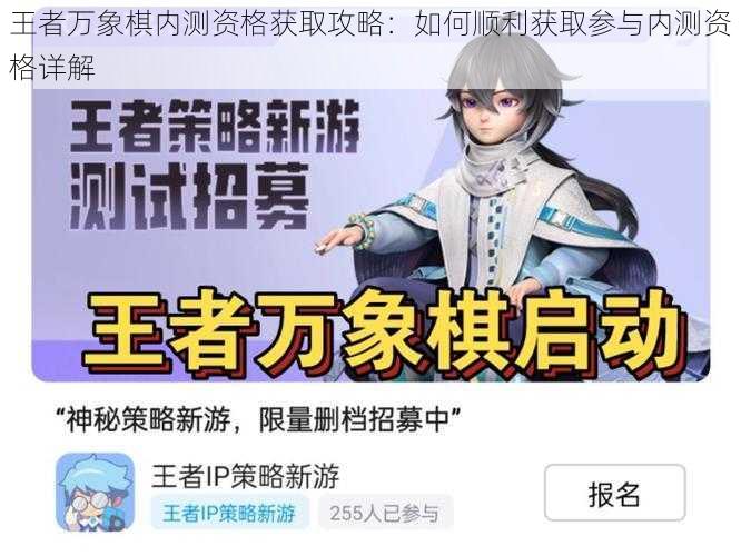 王者万象棋内测资格获取攻略：如何顺利获取参与内测资格详解