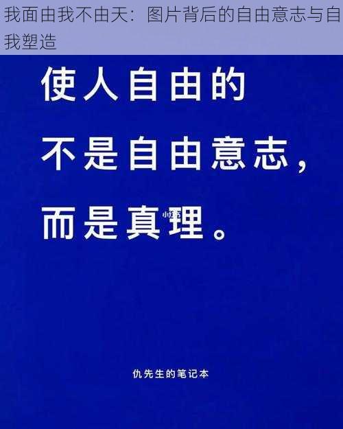 我面由我不由天：图片背后的自由意志与自我塑造