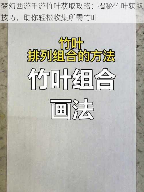 梦幻西游手游竹叶获取攻略：揭秘竹叶获取技巧，助你轻松收集所需竹叶