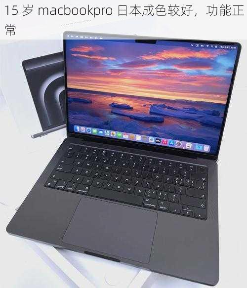 15 岁 macbookpro 日本成色较好，功能正常