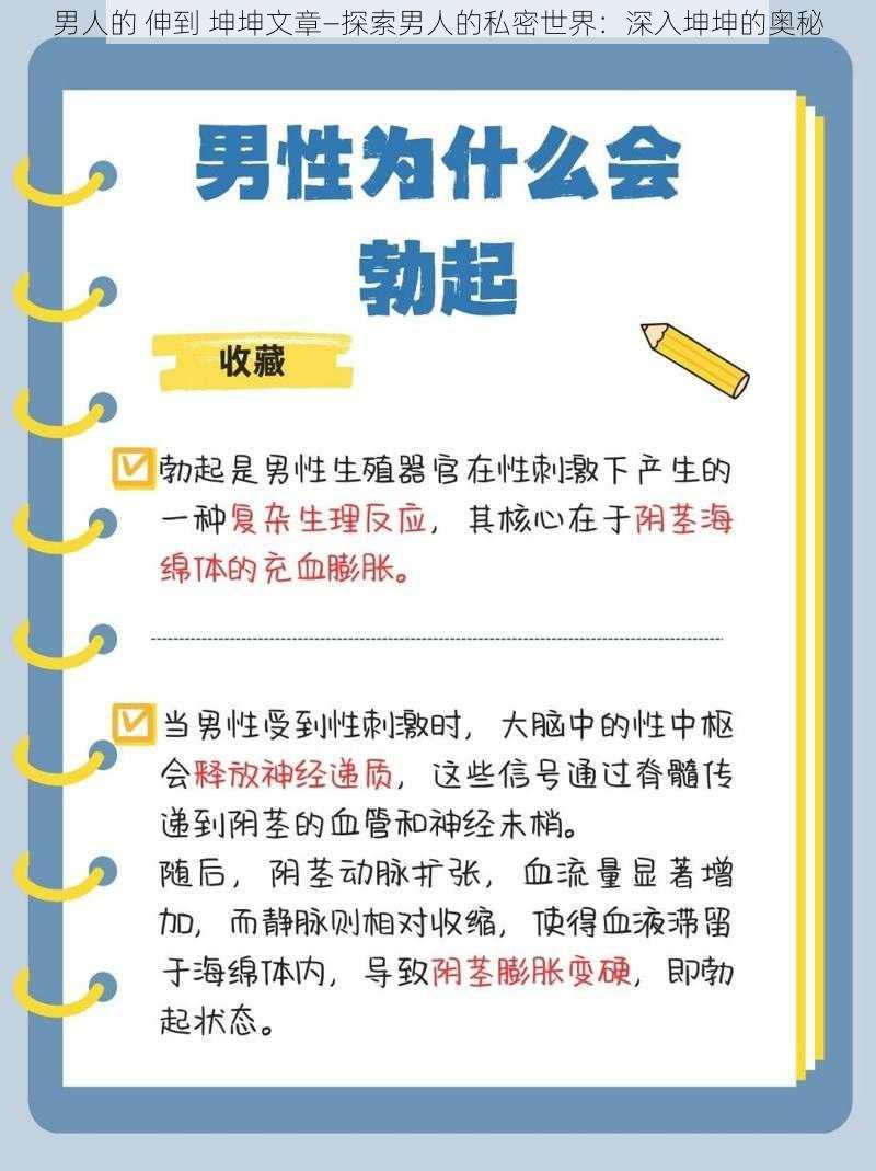 男人的 伸到 坤坤文章—探索男人的私密世界：深入坤坤的奥秘