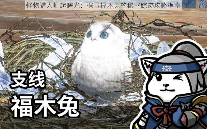 怪物猎人崛起曙光：探寻福木兔的秘密踪迹攻略指南