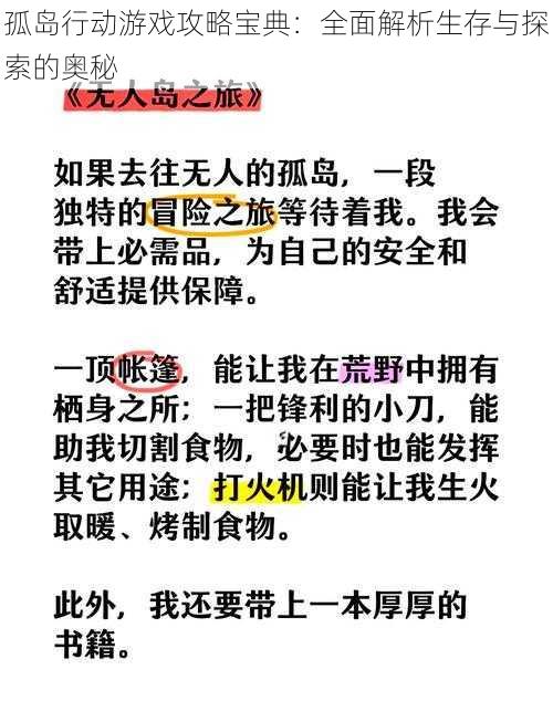 孤岛行动游戏攻略宝典：全面解析生存与探索的奥秘