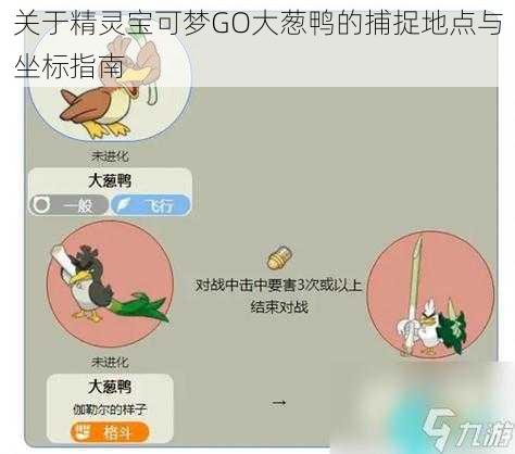 关于精灵宝可梦GO大葱鸭的捕捉地点与坐标指南