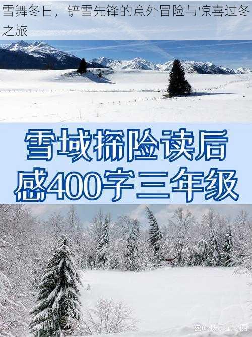 雪舞冬日，铲雪先锋的意外冒险与惊喜过冬之旅