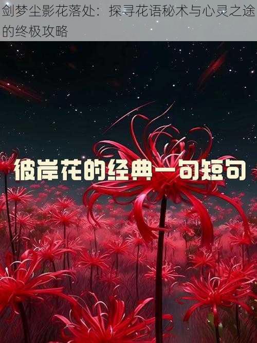 剑梦尘影花落处：探寻花语秘术与心灵之途的终极攻略