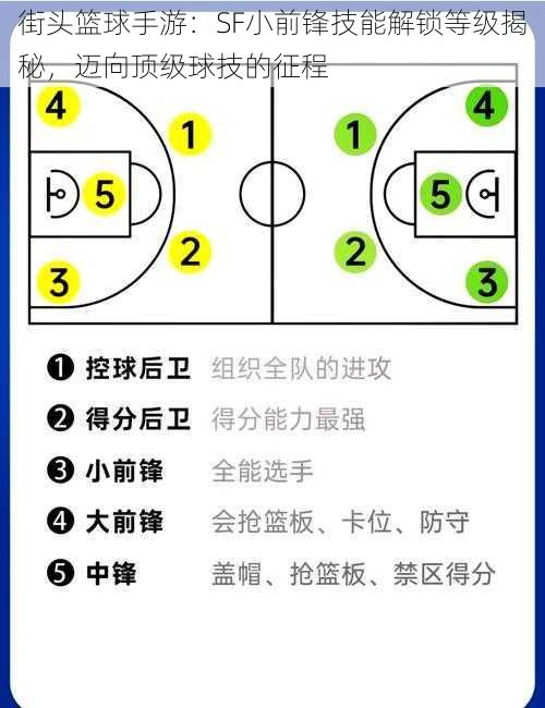 街头篮球手游：SF小前锋技能解锁等级揭秘，迈向顶级球技的征程