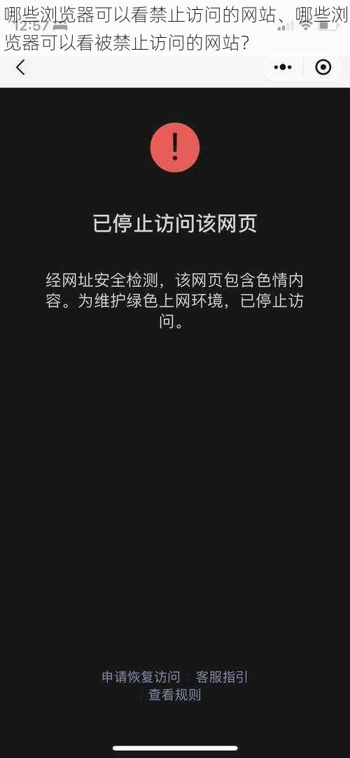 哪些浏览器可以看禁止访问的网站、哪些浏览器可以看被禁止访问的网站？