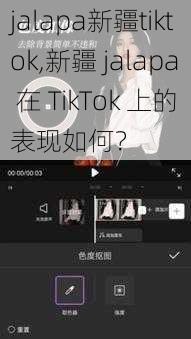 jalapa新疆tiktok,新疆 jalapa 在 TikTok 上的表现如何？