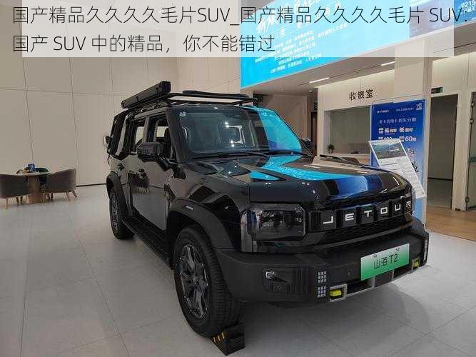 国产精品久久久久毛片SUV_国产精品久久久久毛片 SUV：国产 SUV 中的精品，你不能错过